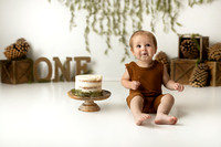 Claire Simpson | Colter | One Year Cake Smash | Colter Pines and Greenery | Sept 2023